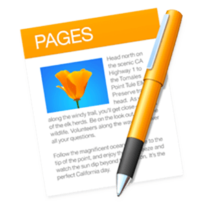 Pages Icon