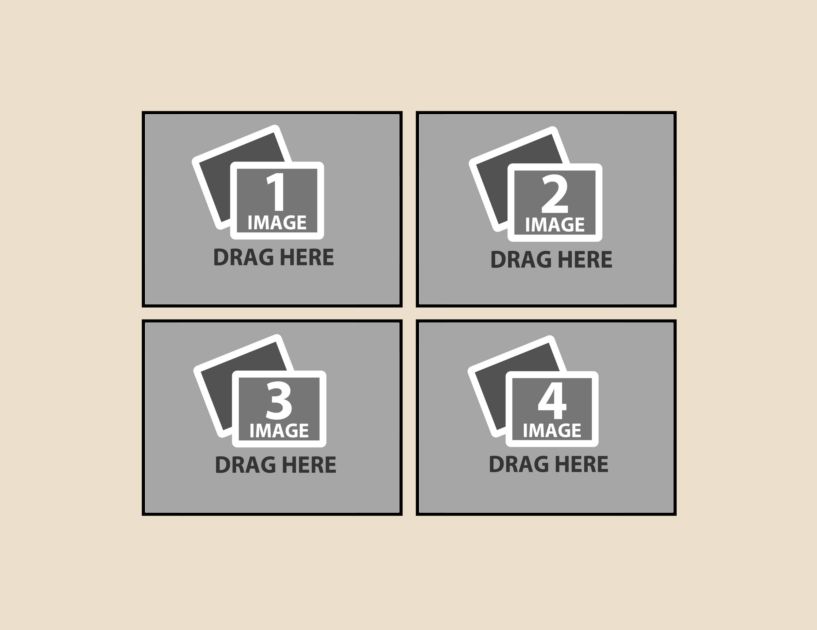 d46.png