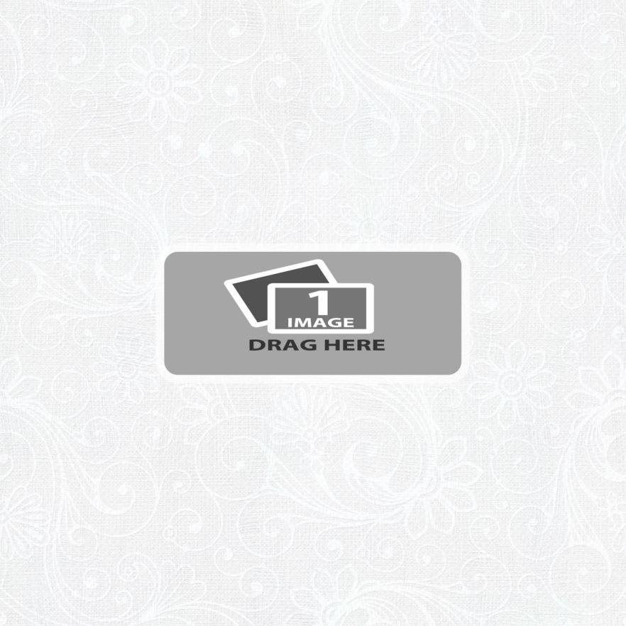 vjs-whiteice-template-00b.png
