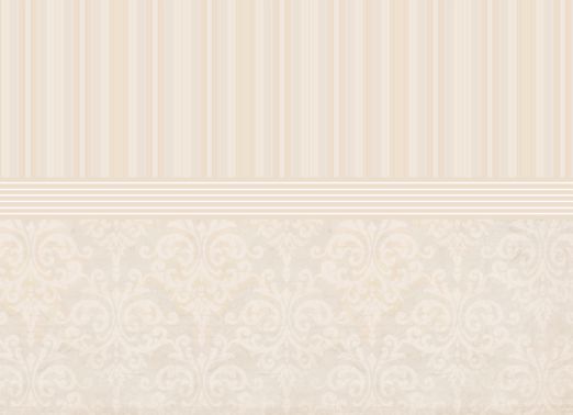 vjs-paledamask-08.png
