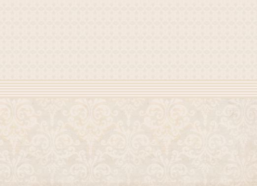 vjs-paledamask-07.png