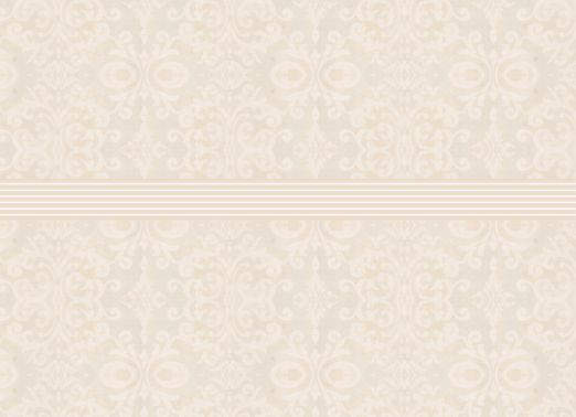 vjs-paledamask-06.png