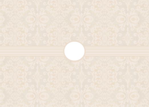 vjs-paledamask-05.png