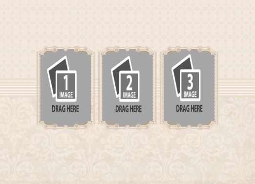 vjs-paledamask-04.png