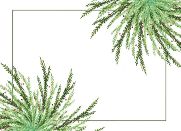 Christmas Stationary 