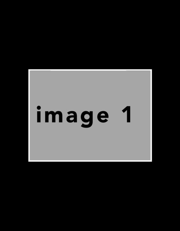 LBlack6