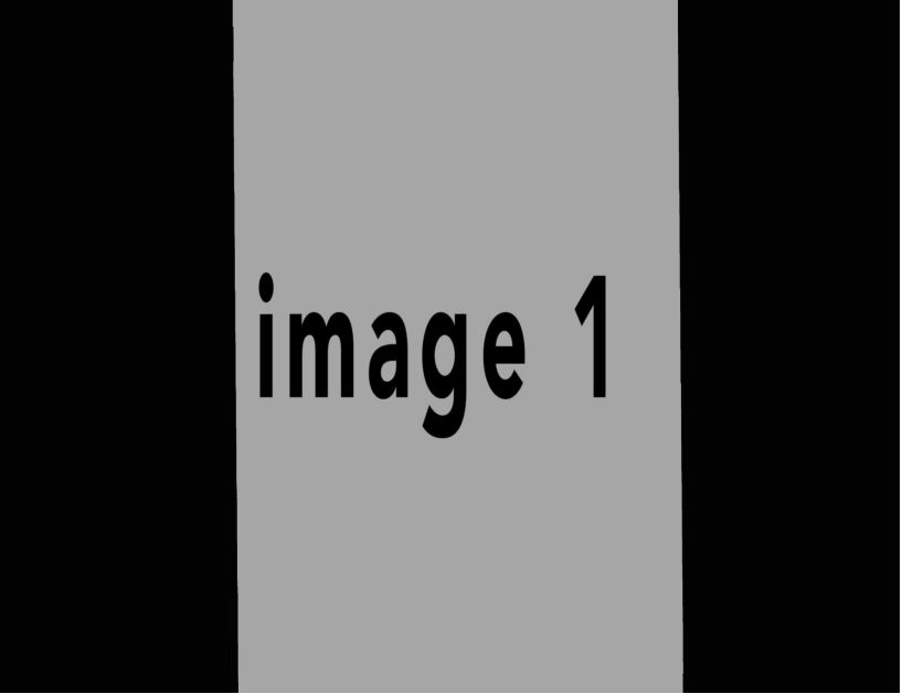 BlackandWhiteMulti #29