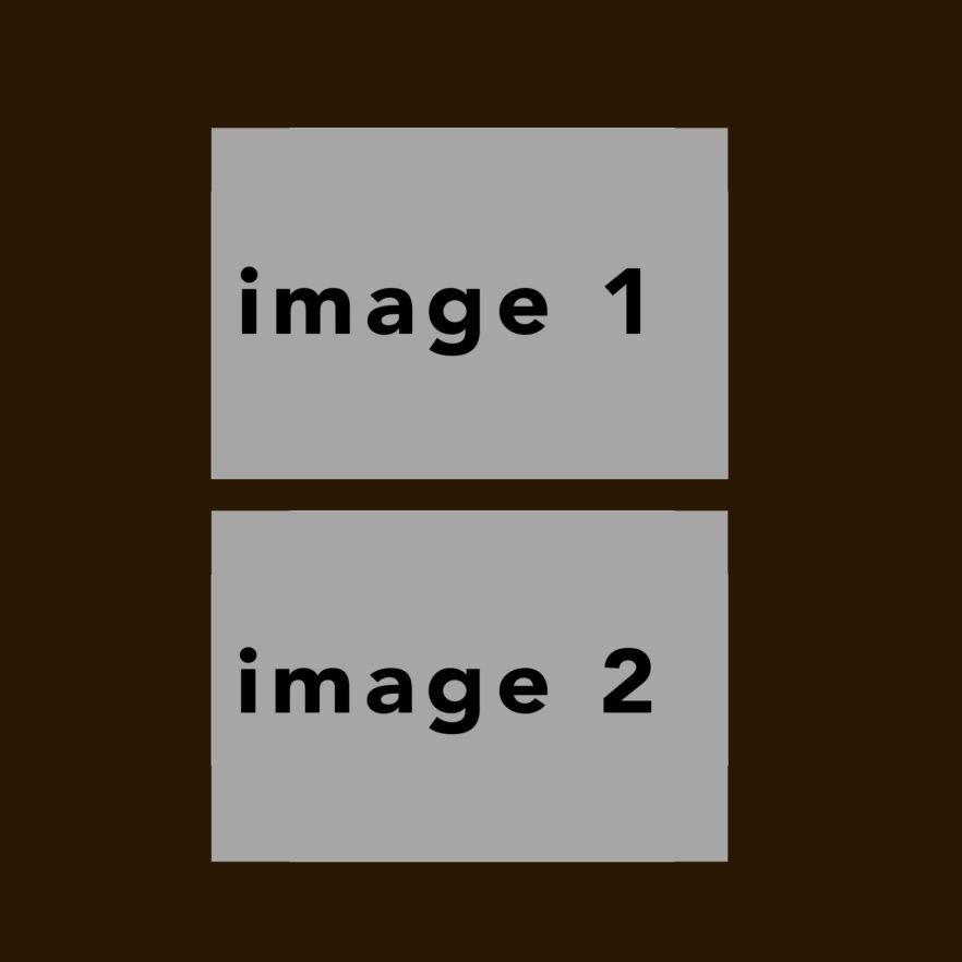 brown #13