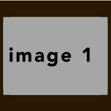 brown #18