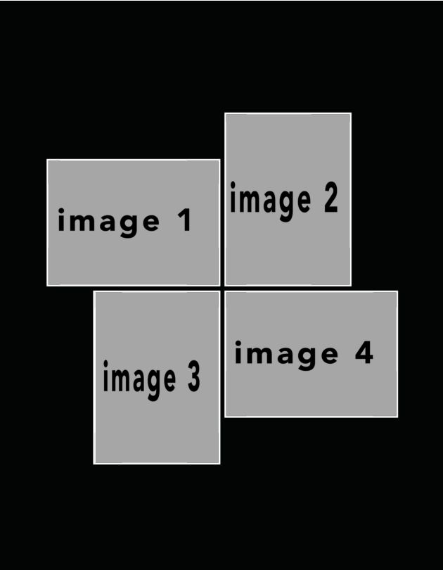 potraitblack #9