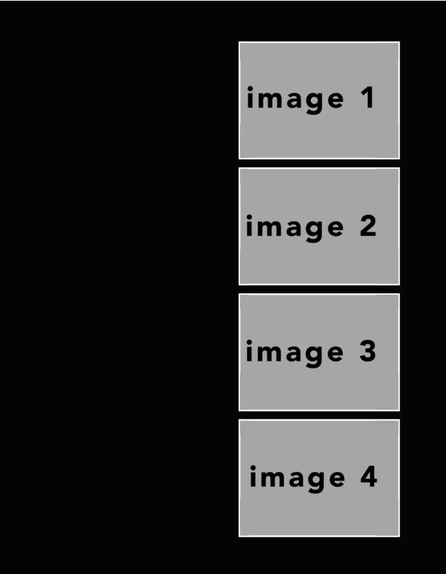 potraitblack #15