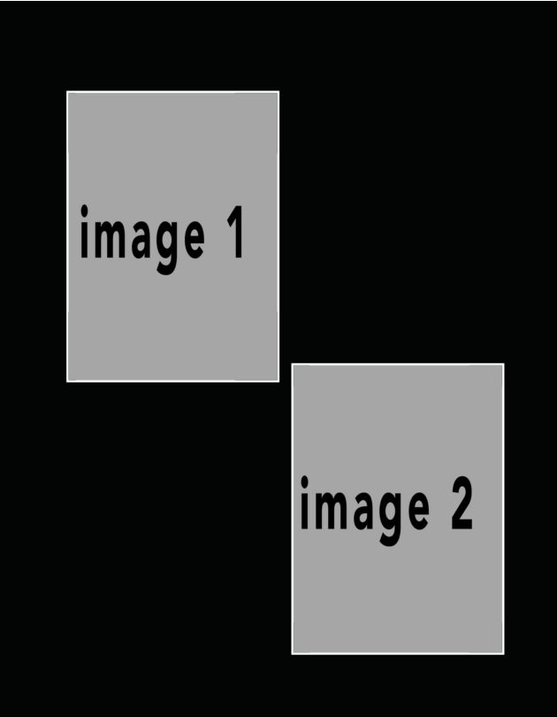 potraitblack #17