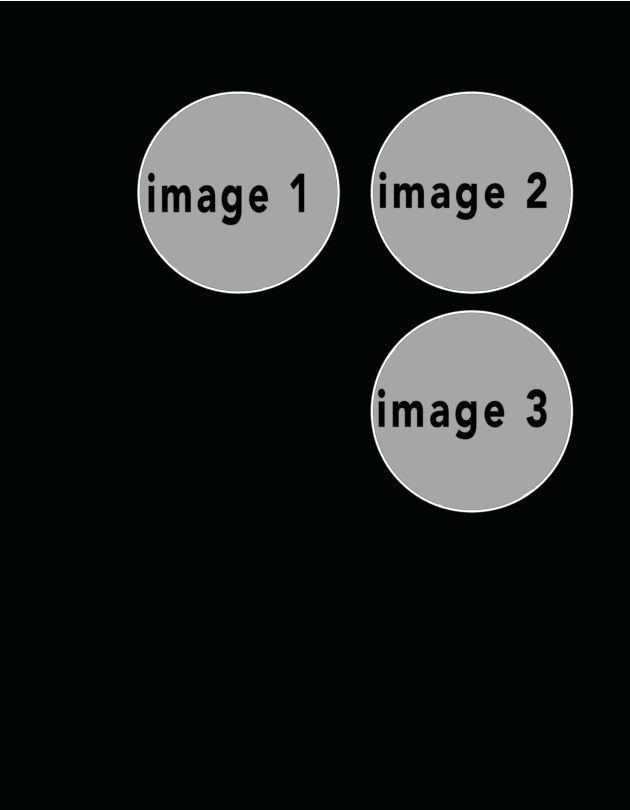 potraitblack #28