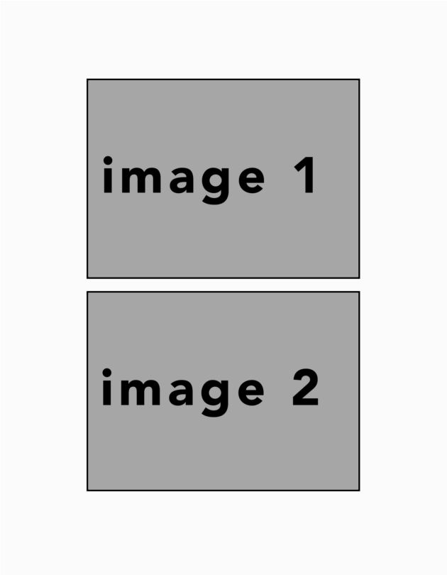 potraitwhite #15