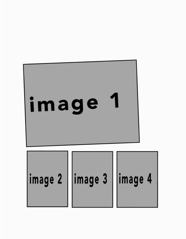 potraitwhite #17