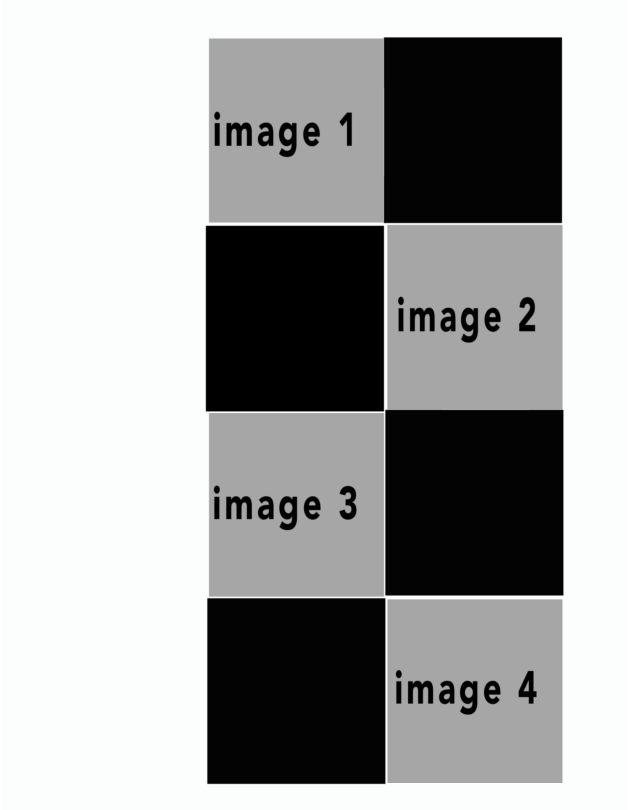 potraitwhite #45
