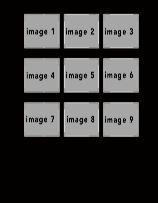 potraitblack #1