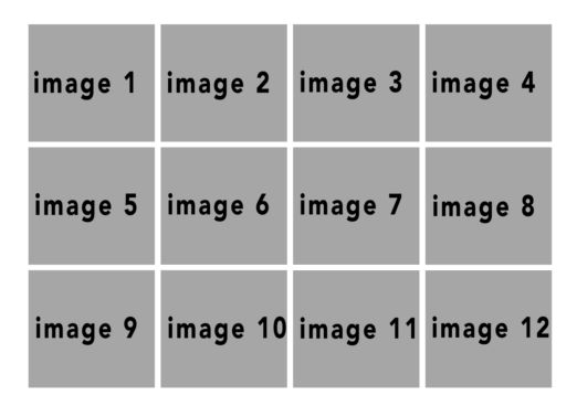 BasicNeutral 11x8.5 #10 #1
