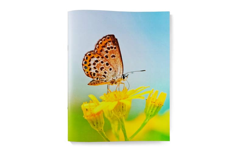 Saddle Stitch Softcover Front Cover